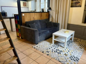 Appartement Le Cadet Roussel Auxerre Les Quais